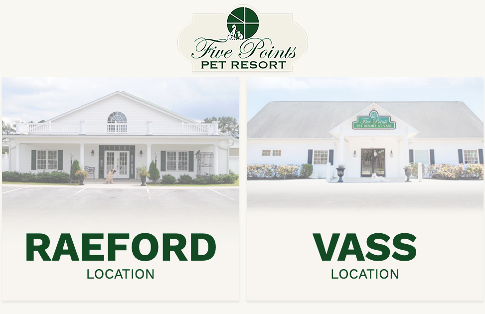 Five Points Pet Resort